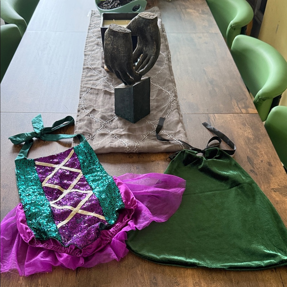 Winifred Sanderson Kids Dance Costume